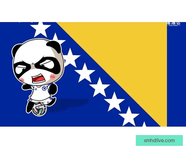 熊猫体育综合评测：平台优势、服务质量与用户体验全解析