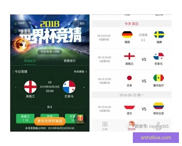 世界杯竞猜投注玩法全解析助你掌握投注技巧与投注技巧提升策略