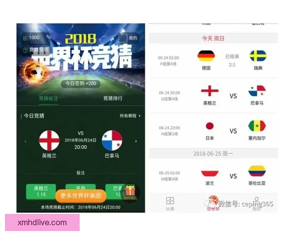 世界杯竞猜投注玩法全解析助你掌握投注技巧与投注技巧提升策略