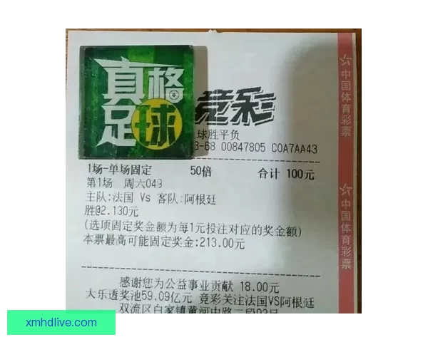 世界杯竞猜网站全攻略新手入门投注技巧与赛事预测深度解析指南